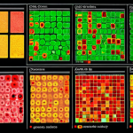 **Interactive Heatmap of Gene Expression:** A vibrant, interactive heatmap visualizing gene expression data in cancer cells treated with different drugs. The color gradient should clearly represent gene activity levels, and the layout should highlight clusters of co-regulated genes. Focus on conveying the "deciphering a secret code" aspect, revealing vulnerabilities in cancer cells.