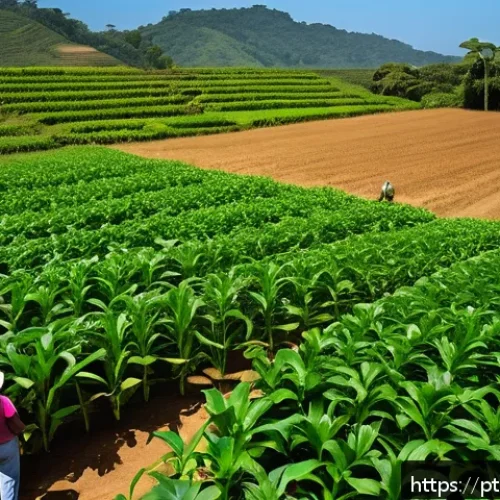 Home 30 합성생물학의 연구 성과의 사회적 활용 방안 - A vibrant Brazilian family farm scene showcasing genetically enhanced soybean and corn plants thrivi...